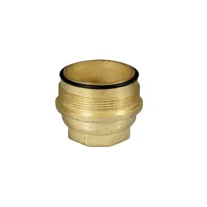 SM06T-1/2 Латунная фильтровая чаша с уплотнительным кольцом 1/2" + 3/4" (для D06F)