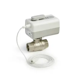 VWS01Y020EE - L5 WiFi привод с датчиком утечки L1 и шаровой кран DN20 Rp