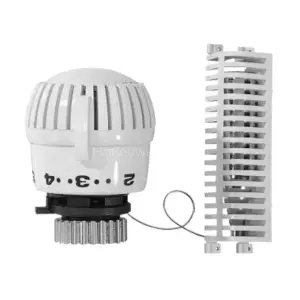 T700120W0 2080 с выносным жидкостным датчиком, диапазон уставки 1 °C … 28 °C