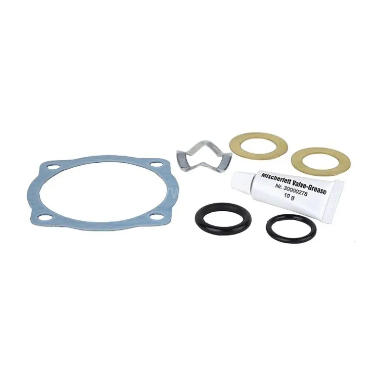 019001050 — Комплект уплотнений (seal kit complete), DN80–DN100