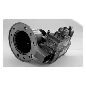 VR8615F1021 24 В; 60 Гц, Fast Open; без выхода на пилот, система DBI для розжига